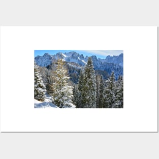 Snowy Trees on Monte Lussari Posters and Art